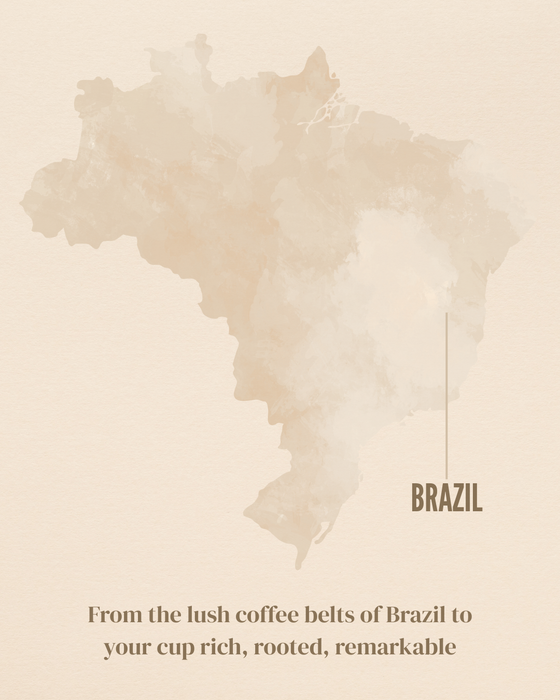 Brazilian Highlands Brew Café Grão 100% Arábica Tradicional 250g